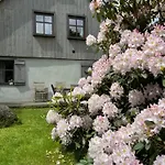 Lavendowo W Karkonoszach Piechowice (Karkonosze)