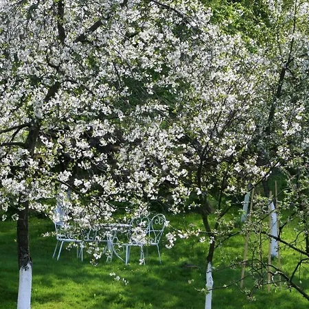 Lavendowo Gasthuis 4*