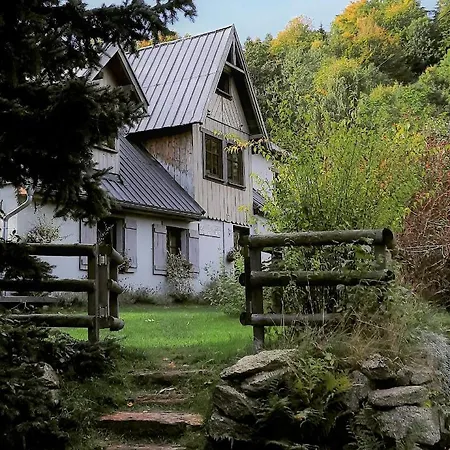 Lavendowo Piechowice (Karkonosze)