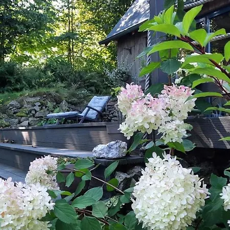 Pensjonat Lavendowo W Karkonoszach Piechowice (Karkonosze)