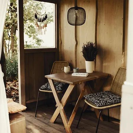 Lavendowo W Karkonoszach