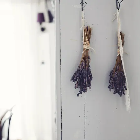 Lavendowo Guest house *