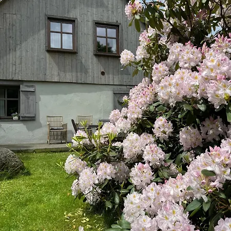 Lavendowo Piechowice (Karkonosze)