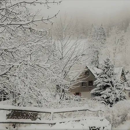 Lavendowo W Karkonoszach