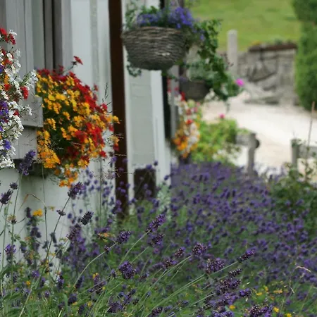 Lavendowo *
