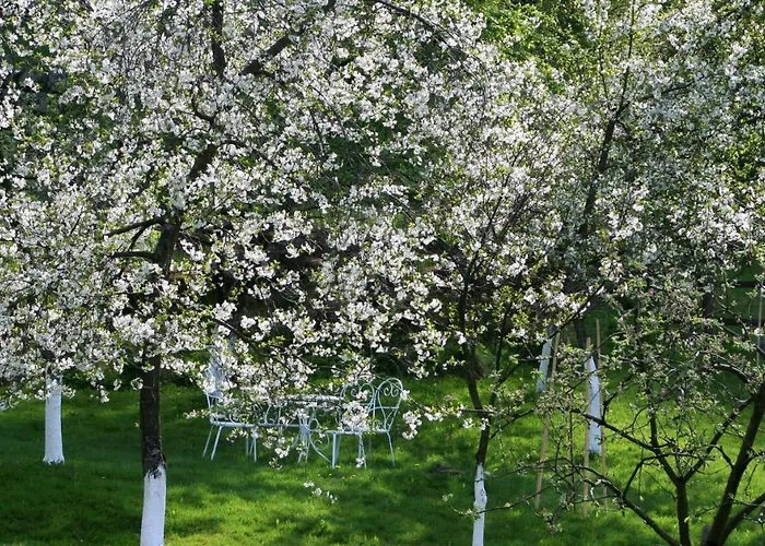 Lavendowo W Karkonoszach Maison d'hôtes 4*