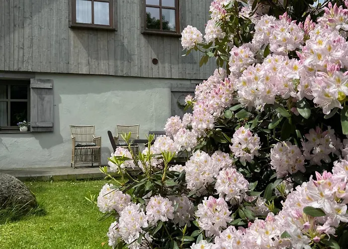 Lavendowo W Karkonoszach Piechowice (Karkonosze)